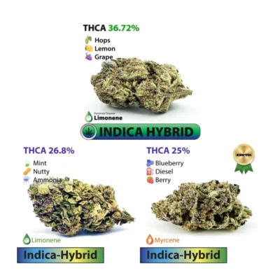 Flower Festivities Bundle