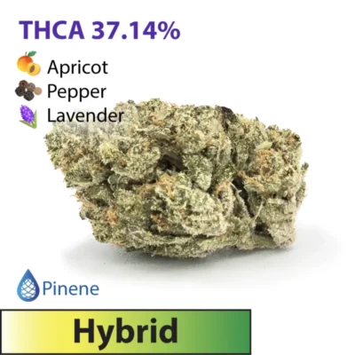 Frosted Brands Gary Payton Hybrid THC-A Flower