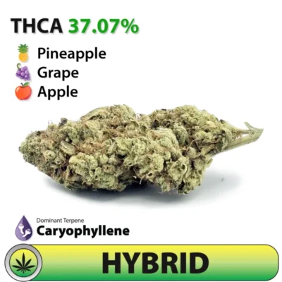 Frosted Brands Magic Gum Drops Hybrid THC-A Flower