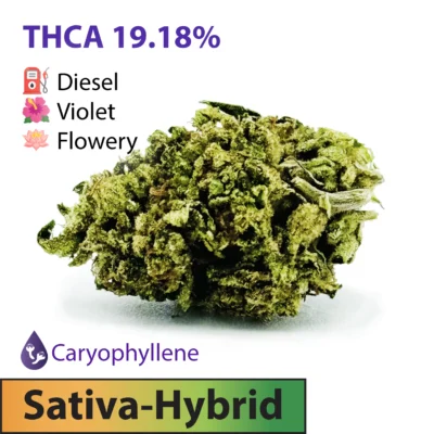 Jet Fuel Gelato THCA Flower