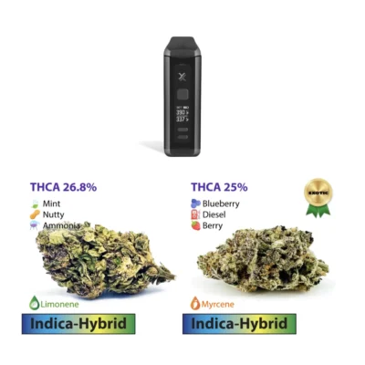 Starter Flower Bundle