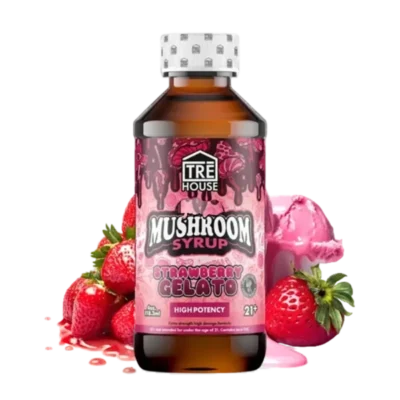 TRE House Mushroom Syrup – High Potency