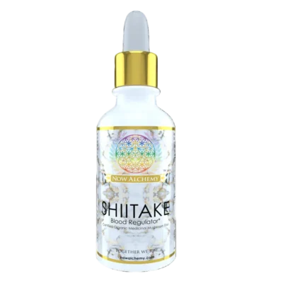 Now Alchemy Shiitake Tincture