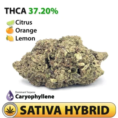 Frosted Brands Orange Drizzle THCA Flower – 37.20% THCA
