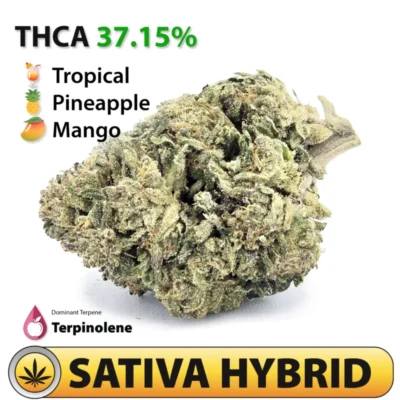 Frosted Brands Pineapple Punch THCA Flower – 37.15% THCA