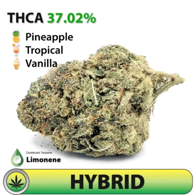Frosted Brands Tropical Gelato THCA Flower – 37% THCA